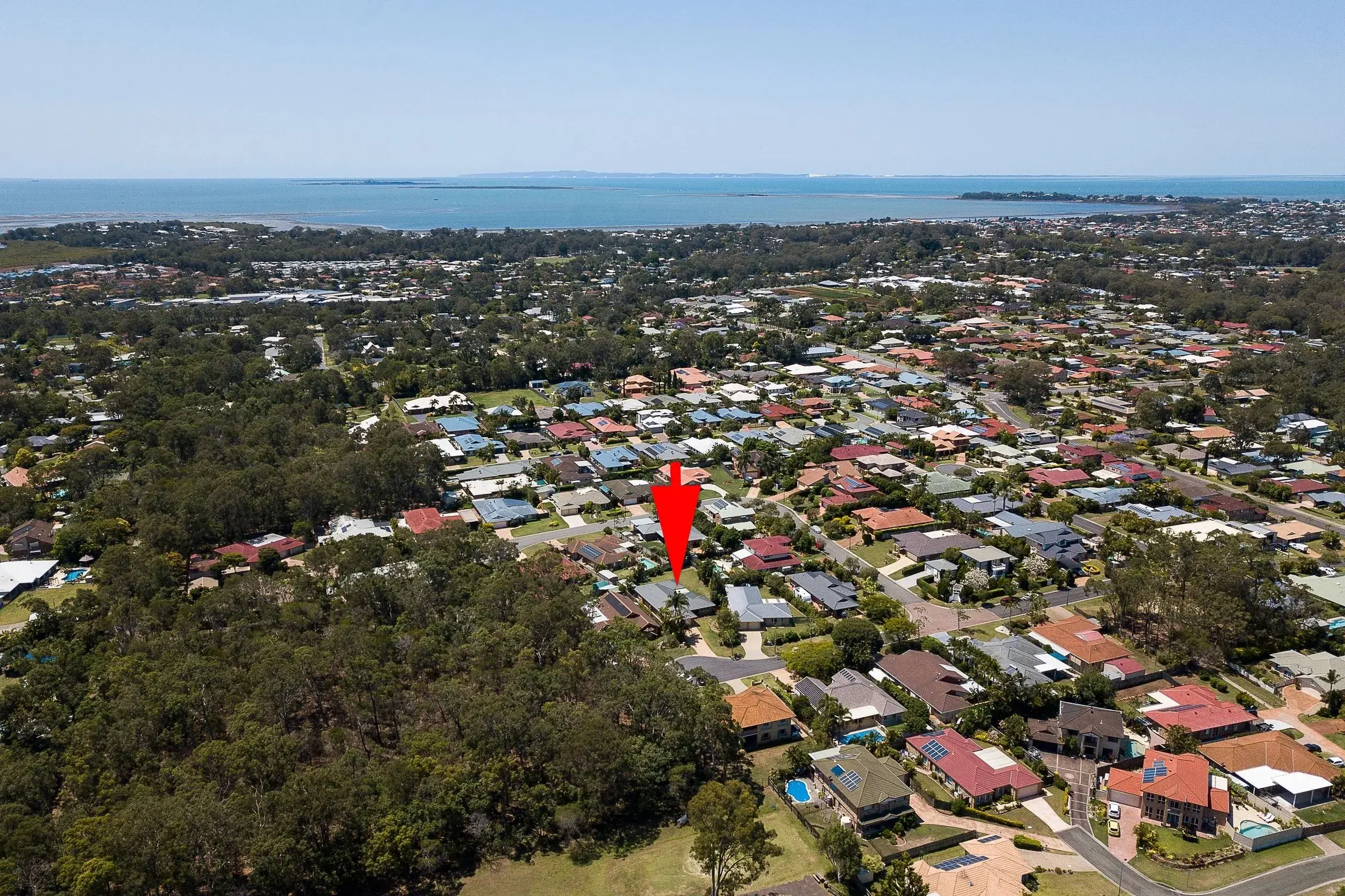 Drone view over bushland towards the bay